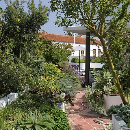 Apartment Jungle Paradise La Orotava
