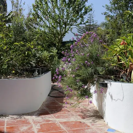 Appartement Jungle Paradise